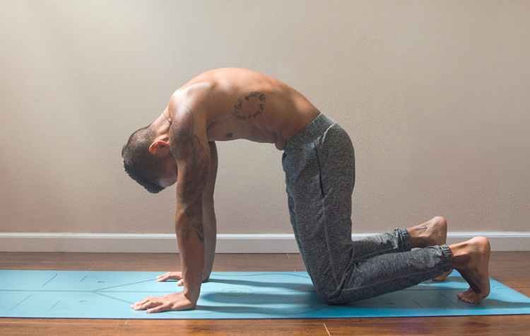 How to Do Cat Cow Stretches (Marjaryasana-Bitilasana) 3 Ways – Liforme